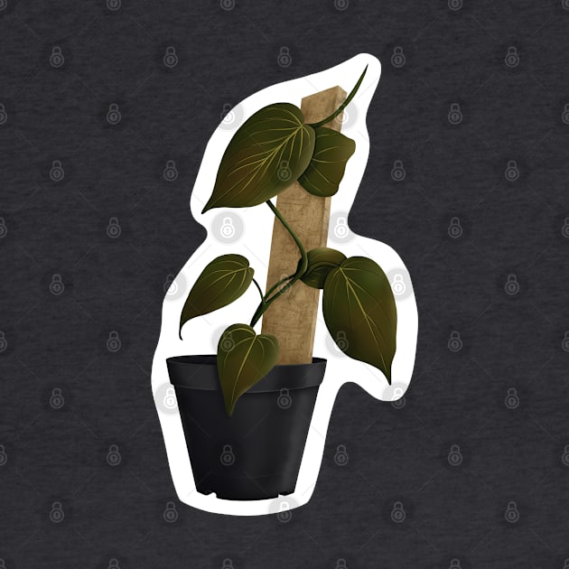 Philodendron Mican by BurningChair